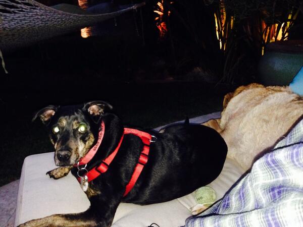 aksterr's tweet image. “@JimOHeir: "What you talk in' bout Willis?" #oldreference. #forced. :) http://t.co/oKPHGfua5b” SHUT UP JERRY!!!!!!!