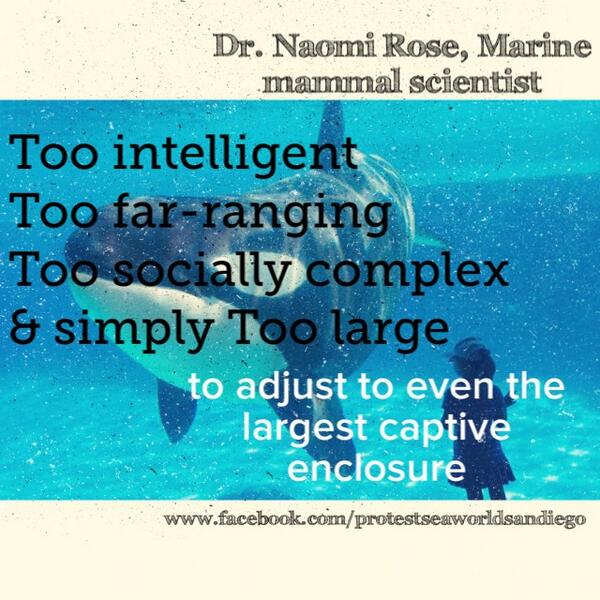 romdia's tweet photo. @Sam10k @johnjhargrove @carolray_wa #naomirose #Blackfish @GabCowperthwait #boycottseaworld @HumaneSociety @OrcaSOS http://t.co/E8ESccPZyu