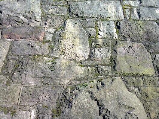 Helping General tweet media