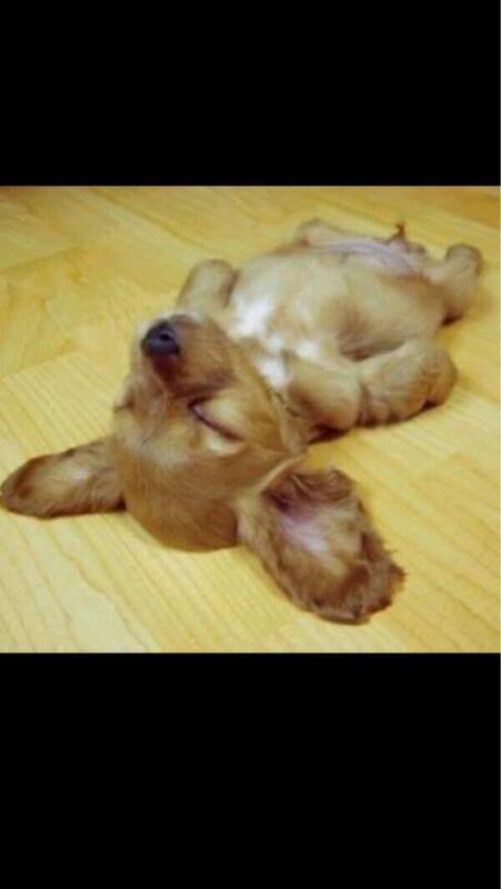 Intl_Highlife's tweet photo. Falling asleep stoned like http://t.co/cIrzWMSyK0