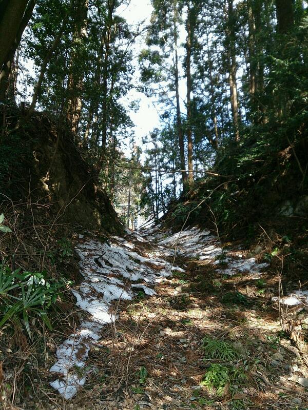 埋め込み画像への固定リンク