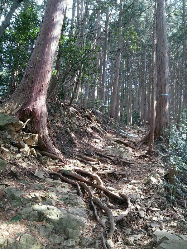 埋め込み画像への固定リンク