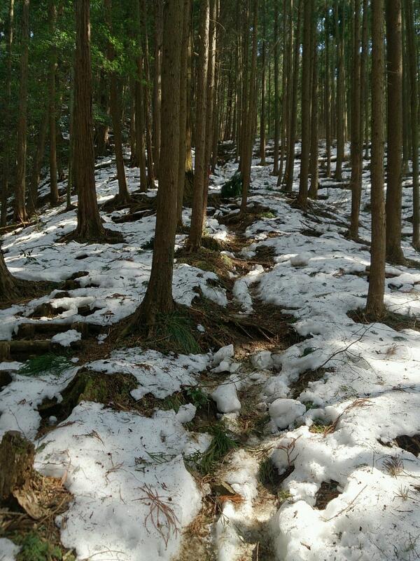 埋め込み画像への固定リンク