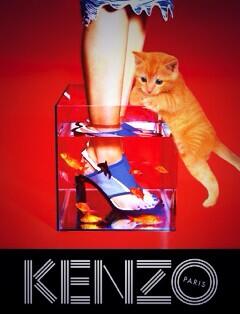 fancymx's tweet image. By #KENZO