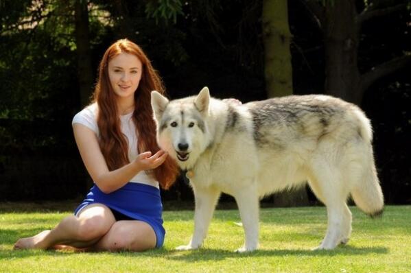 GoT_Tyrion's tweet photo. Just a reminder that @Sophiee_Turner adopted the dog that played her direwolf Lady on the show. http://t.co/t0AvzePh4g