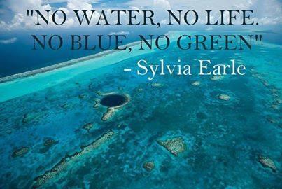 MissionBlue tweet picture
