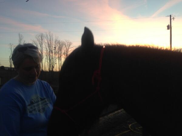 DNWriting's tweet image. Spent a beautiful day in Cartersville, GA hanging out with Blue and all his four-legged, furry friends :)