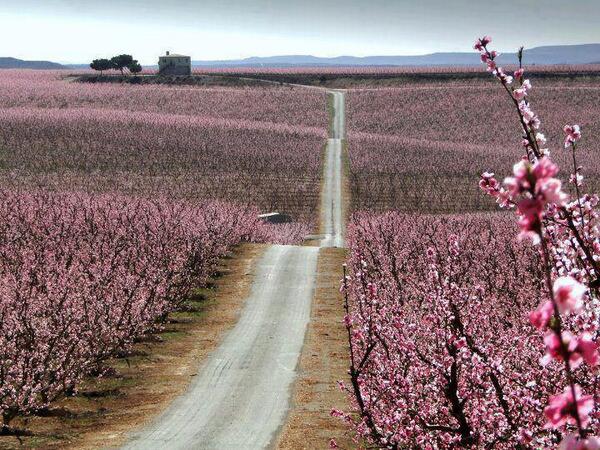 Gabriele Corno tweet media