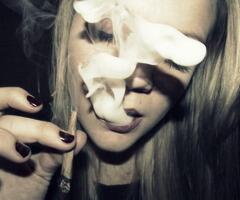 #TeamFollowBack tweet media
