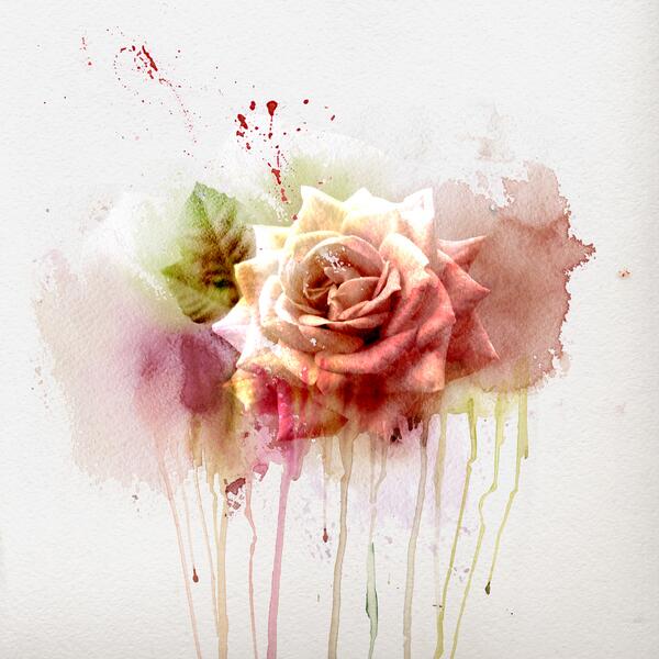Shutterstock's tweet photo. Watercolor flowers, from our "Floral Fancy" featured lightbox: http://t.co/MbnqFf93wQ http://t.co/5qEokmqY9N