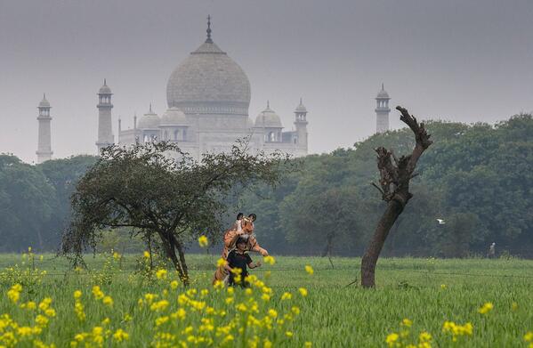 Man sprints around world dressed as a tiger to raise awareness (for tigers) dailym.ai/1k3Plxx