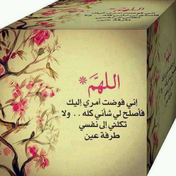 5oorafe1's tweet photo. http://t.co/O89WS1llez