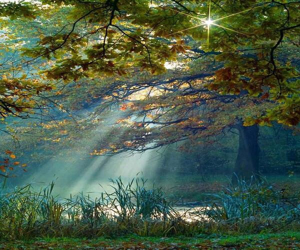 Gabriele Corno tweet media