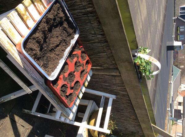 Een prachtige dag om te tuinieren, voor een snelle start voor KRUIT