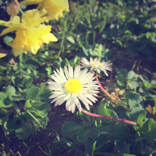 camera_fx's tweet photo. Just posted a photo (via @camera_fx) http://t.co/fFYpsMT2z1