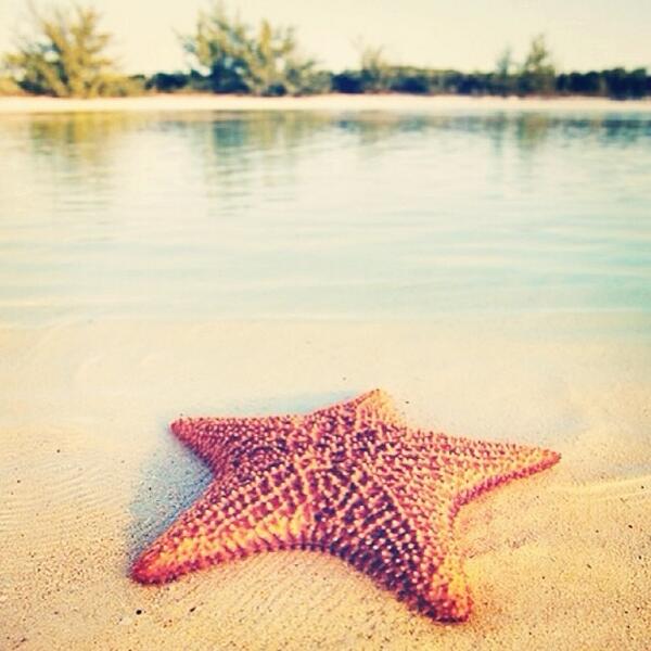 3BOOUDI's tweet image. ift.tt/1oCIvPO