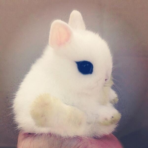 3BOOUDI's tweet image. ift.tt/1oCIxHg