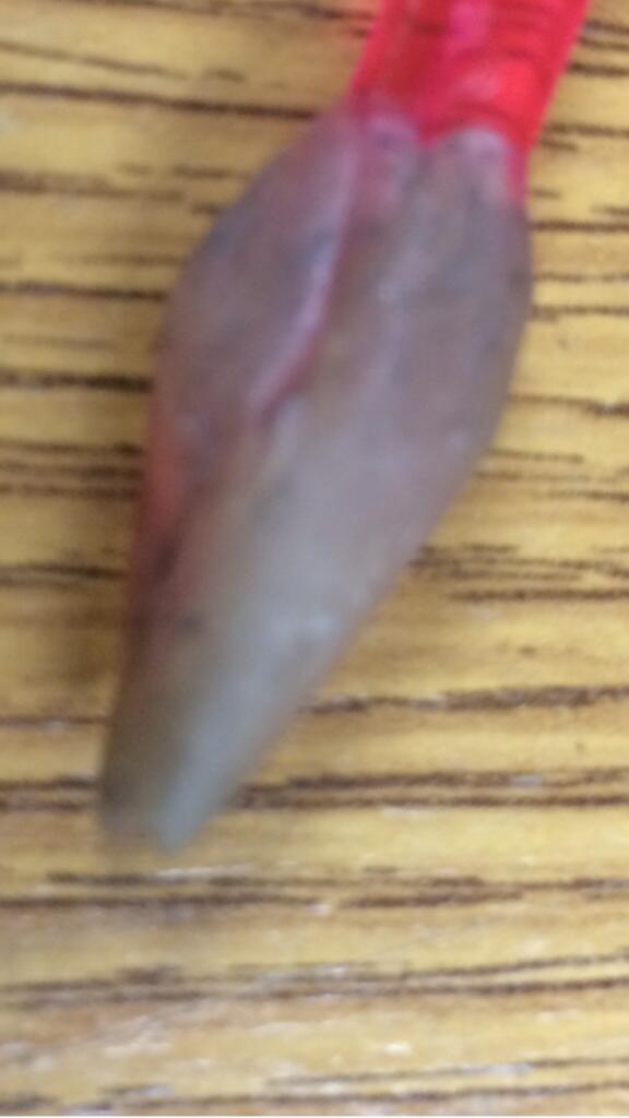 Schofe's tweet photo. It's the final #IceSpy ... So, what's this? I think it's the hardest yet. Answer after #DOI tonight http://t.co/zKOTlzScTC