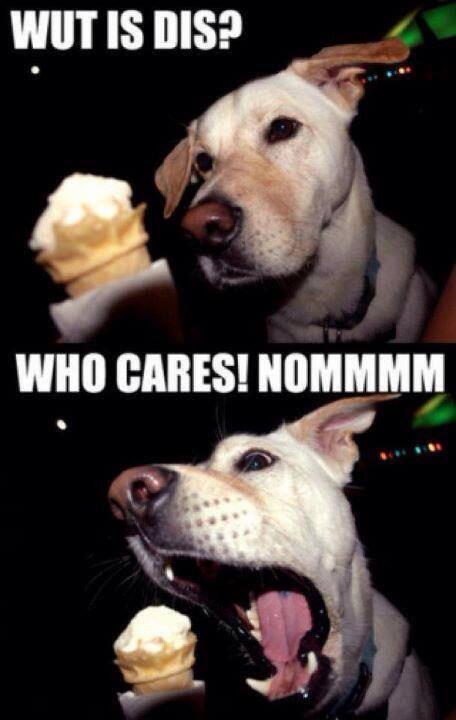 Stephers068's tweet image. Lol