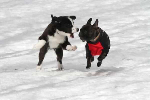 Love watching the kids play!