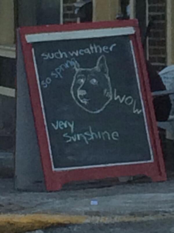 LifeIsInternet's tweet image. Saw this on my way home for spring break.... #doge #theInternet