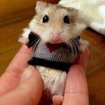 lautlos_x (@lautlosx) on Twitter photo 