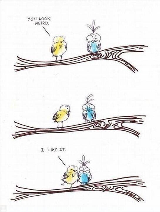 RachelTwenty's tweet photo. Too cute http://t.co/05XF5FosFq