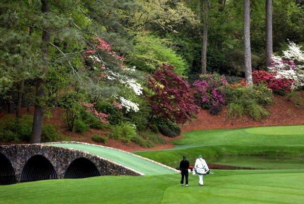 ShooterMcGavin's tweet photo. 32 days… http://t.co/ZUhm28zbbC