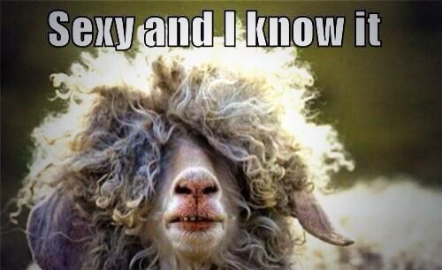 mjsquires's tweet image. Miss Wales 2014 #EngvWal #O2Rugby