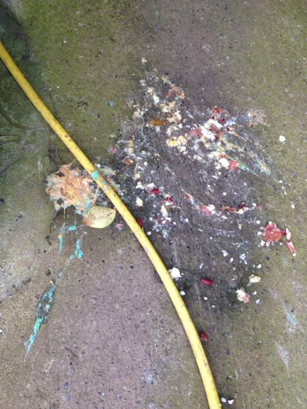 Conor Drohan tweet media