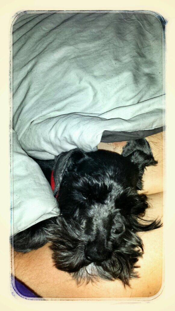LisaSonni's tweet photo. My little one #naptime http://t.co/VlpKWtMsiQ