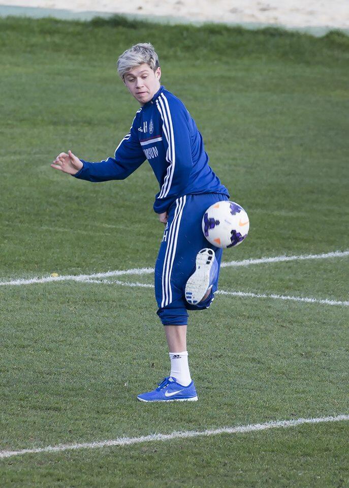 Bezpośredni odnośnik do obrazka