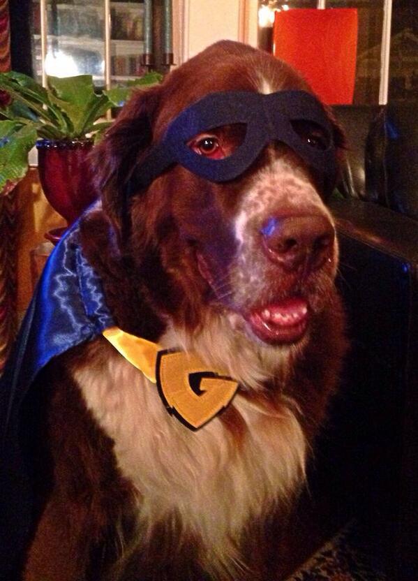 TCliftonArt's tweet photo. Look at me!  I'm super Grizz!  - Argus. @memgrizz @bucketsQP20 @geoff_calkins http://t.co/OA6h127bOD