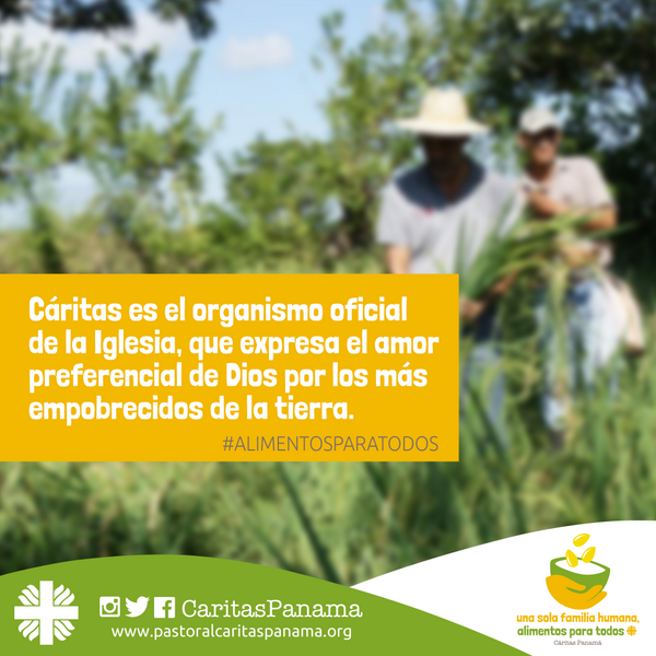 CaritasPanama's tweet photo. Oficialmente Mons. José D. Ulloa M. lanza la Campaña en Contra del Hambre "Una Sola Familia, #AlimentosParaTodos http://t.co/AFyC31Tu1L