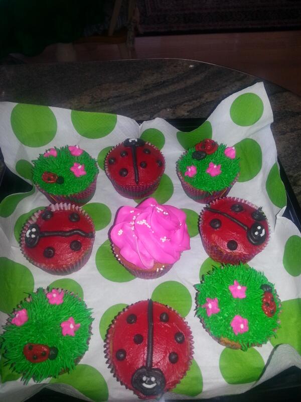 EVENTS_DEFINED's tweet photo. Garden and lady bug cupcakes made by me! http://t.co/HWJq9nedTN
