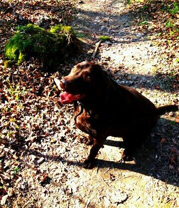 jayne_prior's tweet photo. Here's the hot dog x http://t.co/icMtaxFSvX