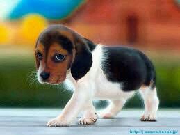 Ebony69145's tweet photo. Look how cute it is xxxx http://t.co/jrcg7D4Kql