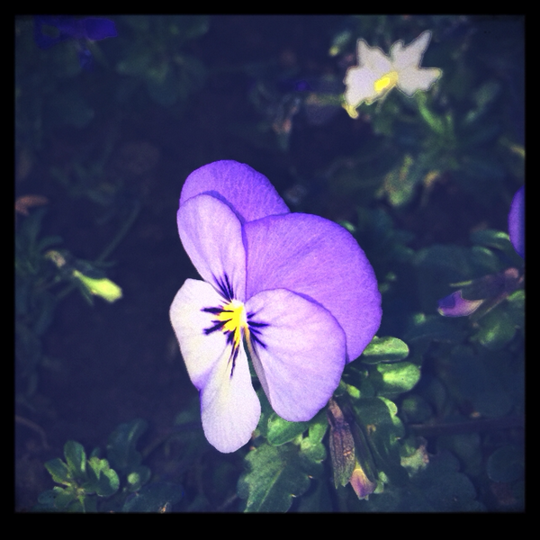 camera_fx's tweet photo. Just posted a photo (via @camera_fx) http://t.co/y7HaB8M5Oh