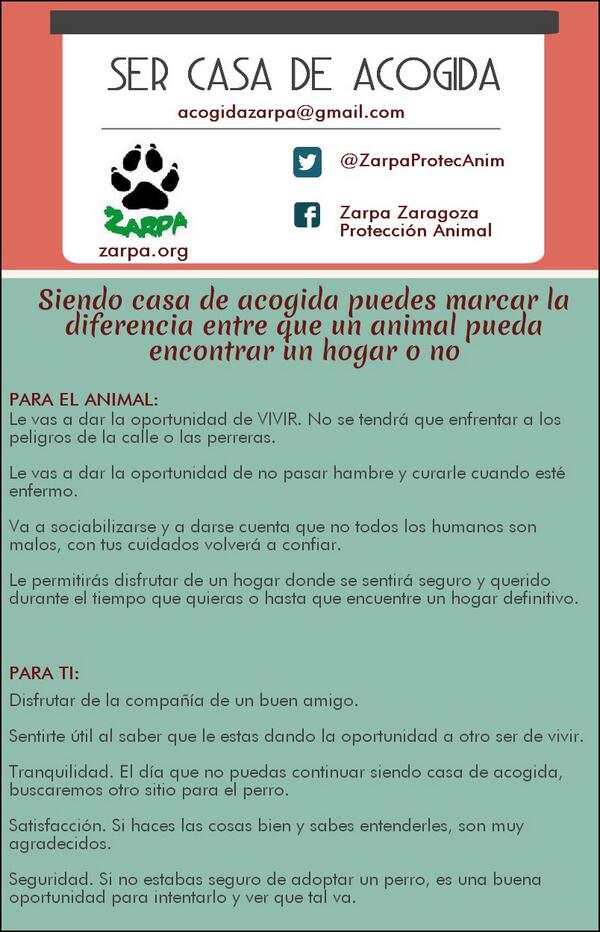 SaraGarces91's tweet photo. Sé casa de acogida, ellos te lo agradecerán!! :) http://t.co/5gfScVHpna