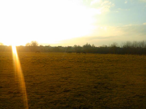 anna_deere's tweet photo. Eventful 4 hour walk! Fell over in the mud and got bitten by a horse! The beautiful sunset was worth it though http://t.co/taZB4OBJlV