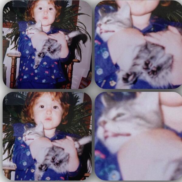 _KatieFrancis's tweet photo. cats r friendz http://t.co/BOJu0VEwvM