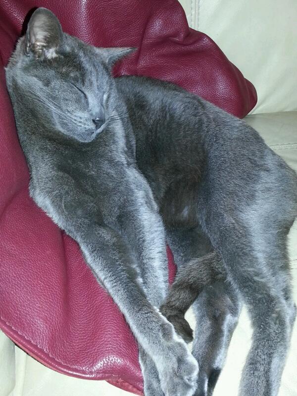 Wake me up on Monday! !!