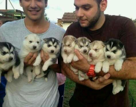 RachelGee33's tweet photo. http://t.co/r91ofSQGKG