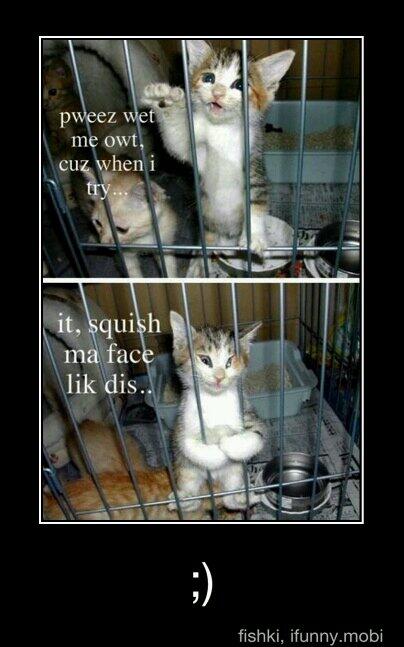 kyle_gear's tweet photo. @Carl_Newman @C_HongWong @srzimmerman2 this is how I feel about that http://t.co/7IYAomzsDl