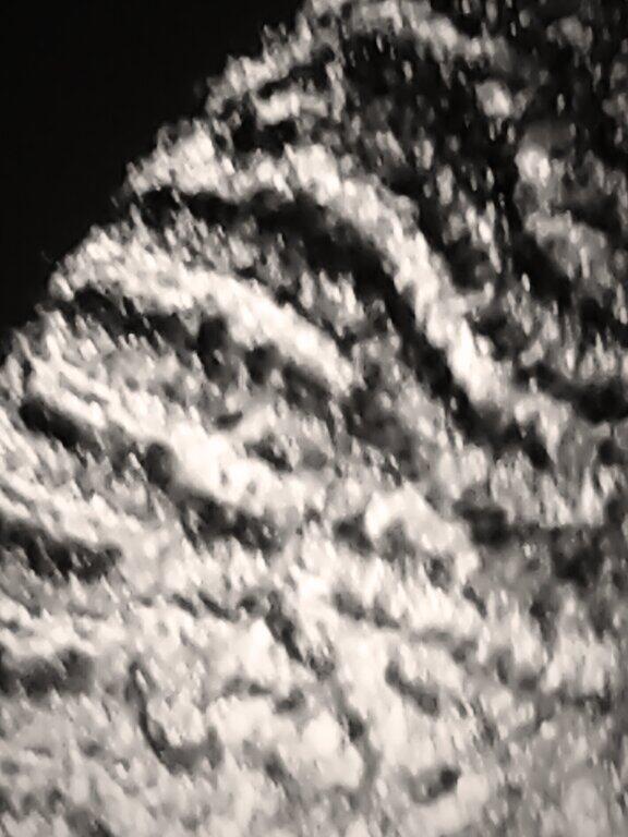 RyanKey17 tweet picture