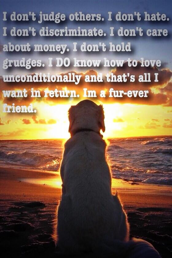 dogs_pal's tweet photo. http://t.co/BjsEhjAHT0