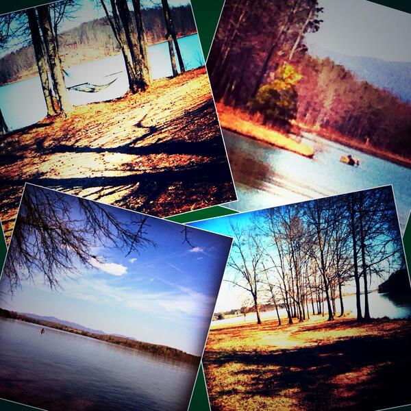 gtaylor3's tweet image. Not so difficult to get in some exercise when I get to enjoy this beautiful Sunday 😎 #LakeRobinson #BlueRidgeSC