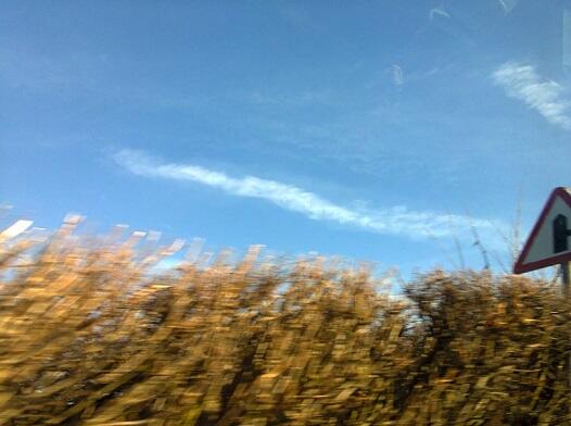 Helping General tweet media