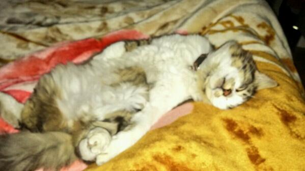eleni_fil's tweet photo. Goodnight... http://t.co/JRcsLGn0QN