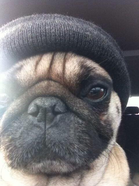 icecube's tweet photo. This dude wants to play me in the new NWA movie. But he don't look nothing like me...smh. http://t.co/2GhhmZEXbz